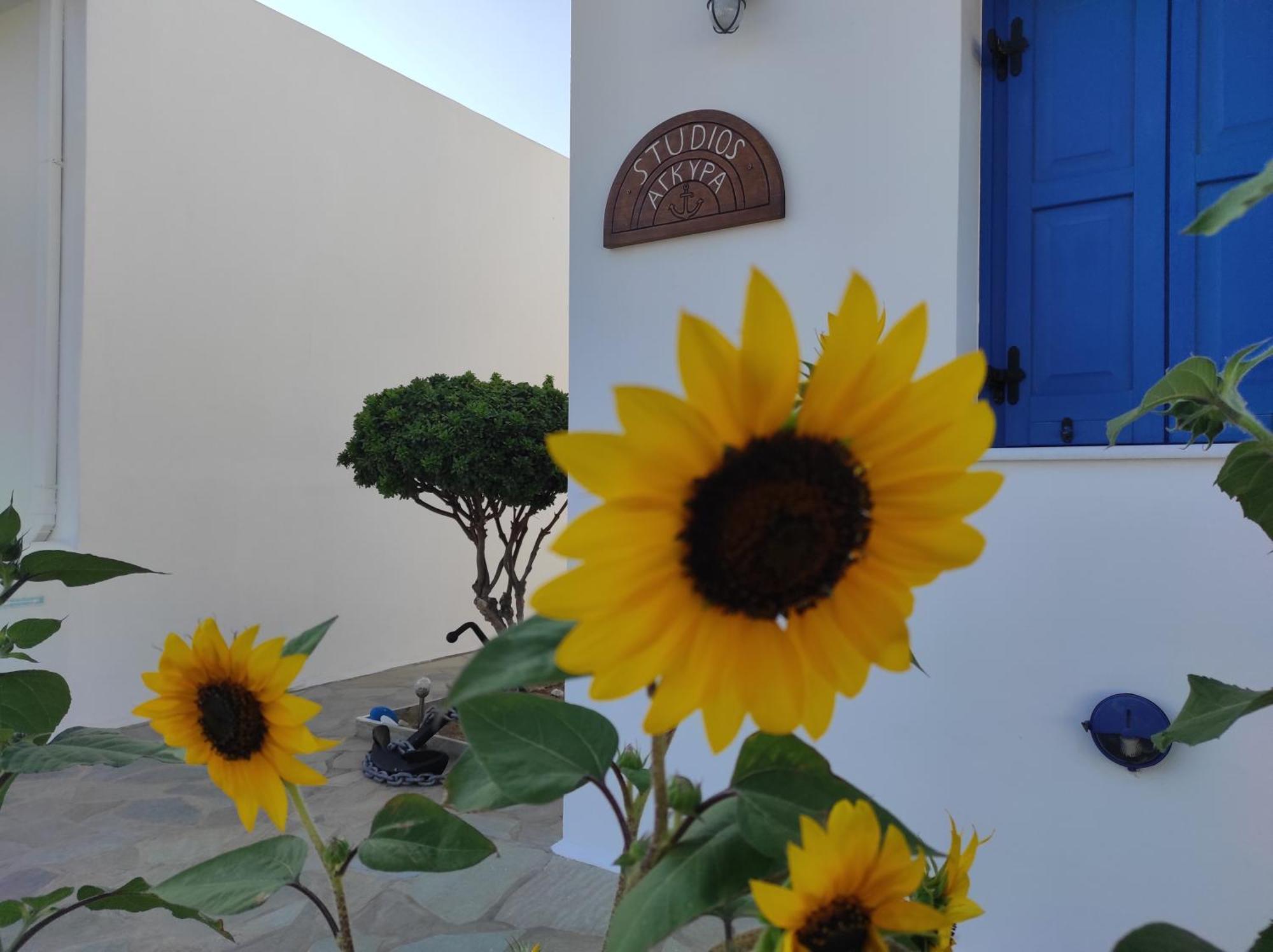 Studios Αγκυρα Livadi  Exteriör bild